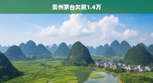 贵州茅台欠税风波揭秘，危机之下如何应对？！时间紧迫，不容忽视！