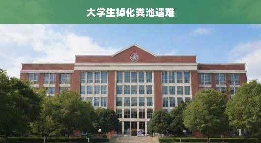 痛心！大学生意外坠入化粪池，生命瞬间消逝，紧急呼吁关注安全！