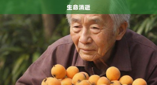 痛心疾首！年迈长者摘枇杷意外落水，生命瞬间消逝，悲剧令人扼腕叹息！