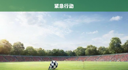 紧急行动！卖五套房全力投入，助力孩子足球梦启航，投资未来，不留遗憾！