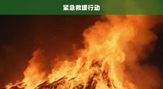 宜宾纺织厂突发大火，火势猛烈，紧急救援行动立即启动！