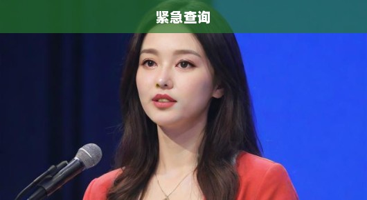 昆山大型年会演出信息电话速查指南，紧急查询，不容错过！