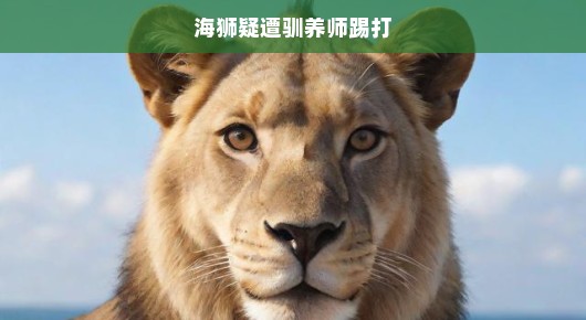 海狮遭驯养师暴力对待引发关注，动物福利与道德责任呼唤紧急行动！