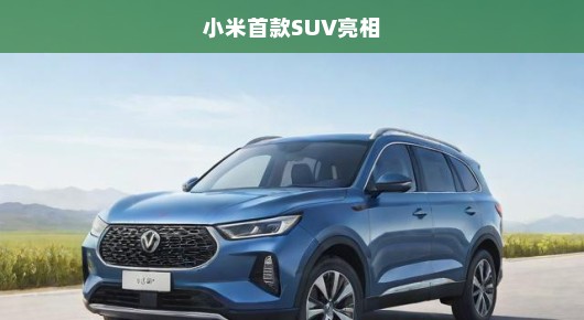 重磅来袭！小米首款智能SUV惊艳亮相，引领全新智能出行时代！
