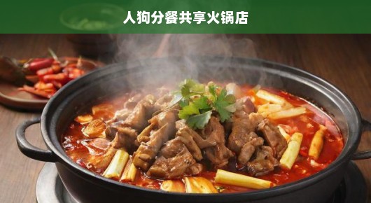 人狗共享火锅盛宴！跨界限的美食新体验，不容错过的极致味蕾狂欢！