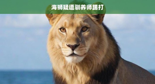 海狮遭驯养师暴力对待，呼吁公正对待动物，善待生命，急切呼吁关注！