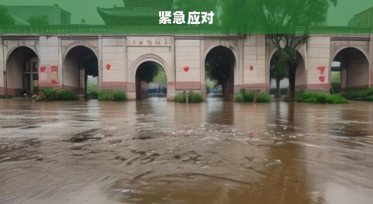 武汉大学遭遇严重水灾，校门被淹！紧急应对，刻不容缓！