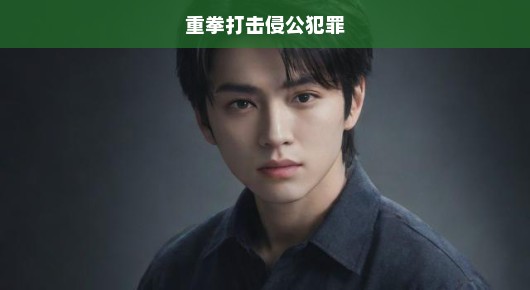 严惩侵公犯罪，守护社会公正安全，刻不容缓，正义行动必须迅速启动！