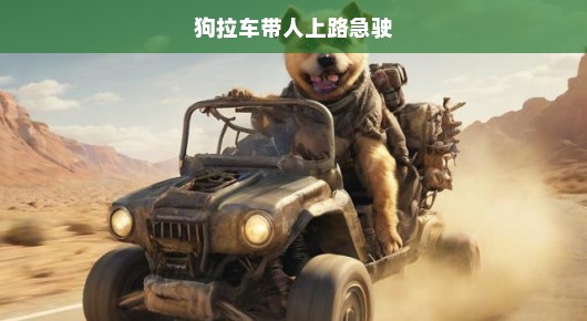 紧急！疯狂疾驰的狗拉车载人冒险上路，危险重重！