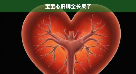 宝宝内脏异常！心肝脾位置颠倒，紧急关注并采取应对措施！