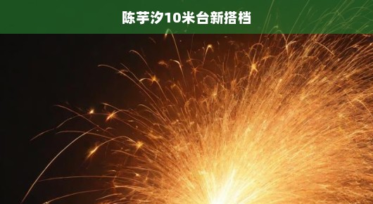 陈芋汐全新搭档亮相，急盼突破！10米台新组合，火花四溅瞩目时刻！