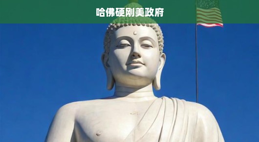 哈佛直面美国政府挑战，学术自由与权力之争的较量，谁将胜出？