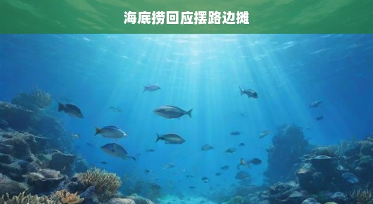 海底捞路边摊创新务实并行，坚定前行！突破常规，展现新姿态！