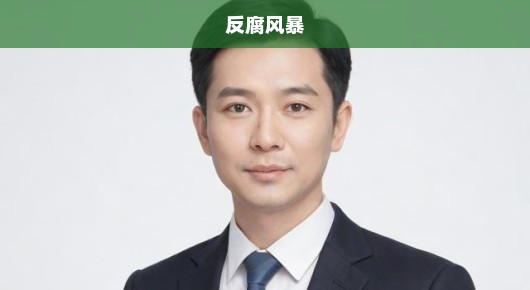 陕西政协副主席落马，反腐风暴掀起新篇章！急迫之际呼唤正义！