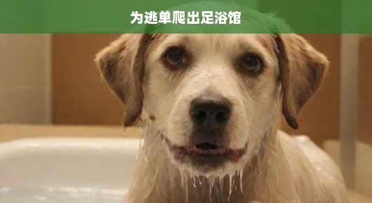 惊魂瞬间！疯狂逃离足浴馆，生死时速般的逃单大逃亡！