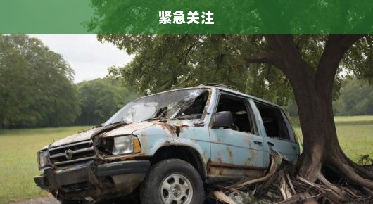 客车惨烈侧翻，撞树事故致三人亡四人伤，紧急关注！