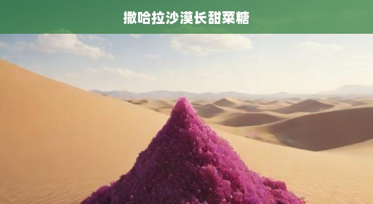 撒哈拉沙漠甜菜糖奇迹诞生，自然奥秘与无限可能令人惊叹！