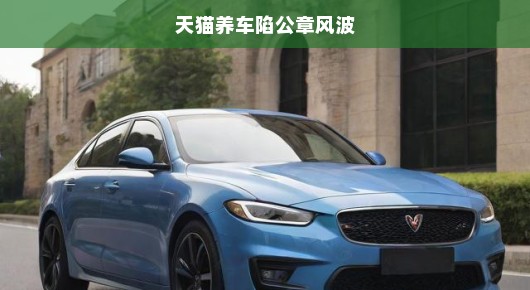 天猫养车遭遇公章风波，信任与责任危机迫在眉睫！
