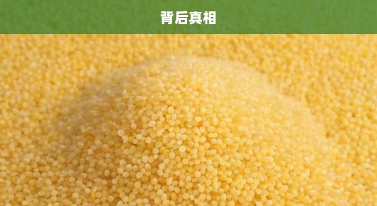 小米业绩飙升突破Q1营收大关，驱动力与挑战并存，急探背后真相！
