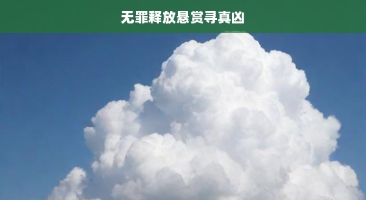 疑云重重之下无罪释放真相待寻，悬赏追捕真凶刻不容缓，急寻线索揭示真相！