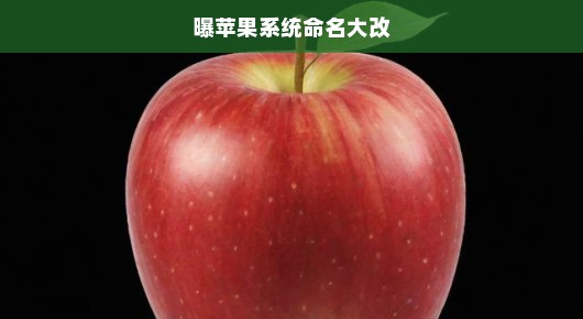 苹果系统命名巨变，科技界风暴即将席卷，行业瞩目期待重大变革！