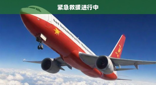 韩国飞机坠毁！紧急救援进行中，深刻反思航空安全刻不容缓！