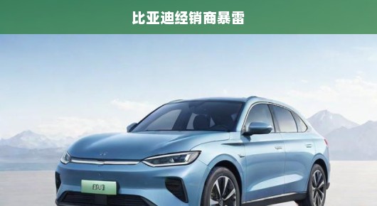 比亚迪经销商突发危机，行业乱象曝光！如何应对成关键！紧急关注！