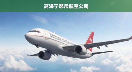 高海宁坚决捍卫乘客权益，怒斥航空公司，呼吁重视乘客权益，不容忽视！