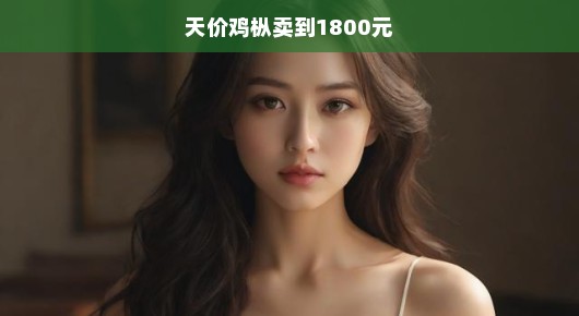 天价鸡枞背后的神秘故事，揭秘价值之谜，探寻珍稀珍品！