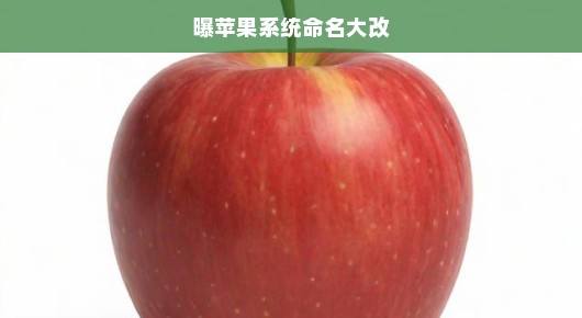 苹果系统命名巨变，科技界风暴即将席卷，行业瞩目期待重大变革！