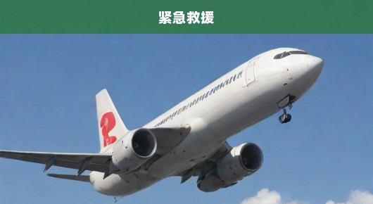 韩国飞机坠毁！紧急救援与事故调查同步展开，情况万分危急！