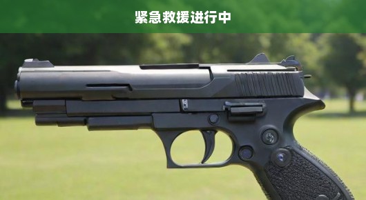 公园突发枪击事件，惊魂瞬间七人受伤，紧急救援进行中！