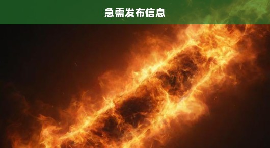 项城免费BB信息发布平台TOP，急需发布信息，火速行动！
