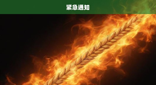 紧急通知！老板推出带薪收麦大计划，员工们，你们准备好了吗？火速准备，不容错过！