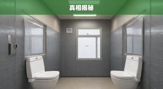 千万资金建厕所遭查真相揭秘与深刻反思！急呼关注！