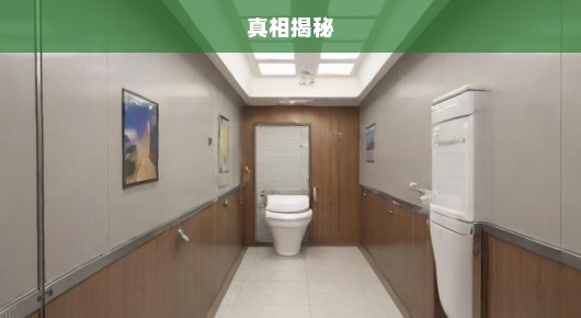 千万资金建厕所遭查真相揭秘与深刻反思！急呼关注！