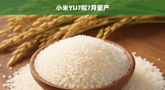 小米YU7七月量产高峰在即，全力冲刺，卓越品质热切期待！
