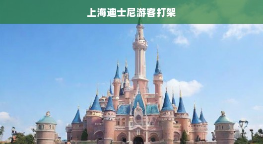 上海迪士尼游客突发冲突，一场意外事件引发深思社会文明旅游问题！