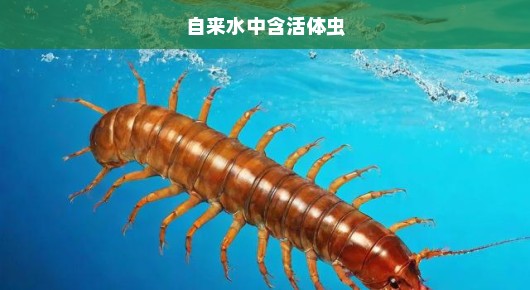 自来水中惊现活体虫！水质安全问题刻不容缓，亟待正视！