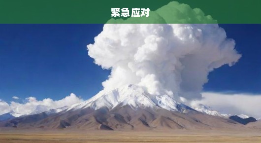 西藏阿里突发4.0级地震！紧急应对，密切关注，刻不容缓！
