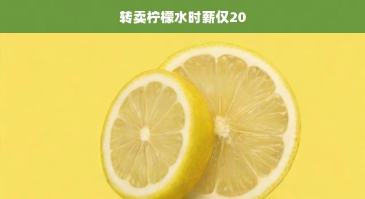 柠檬水背后的辛酸与挑战，时薪微薄的生存困境与故事揭秘！