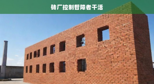 砖厂滥用智障劳动力，恶劣现象必须立即制止！呼吁行动，保护弱势群体权益。