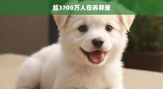 异宠热潮汹涌，超1700万人热情投身异宠养护，热情洋溢掀起浪潮！