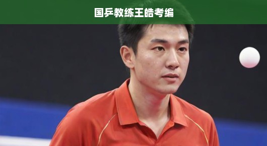 国乒教练王皓考编，新的挑战呼唤，期待重塑辉煌——紧迫时刻，不容懈怠！