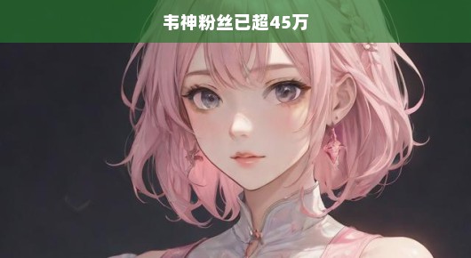韦神粉丝数突破45万大关，偶像力量闪耀新时代，粉丝热潮急速膨胀！