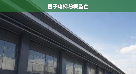 西子电梯总裁意外坠楼身亡，震惊业界，引发深刻反思！电梯安全何去何从？