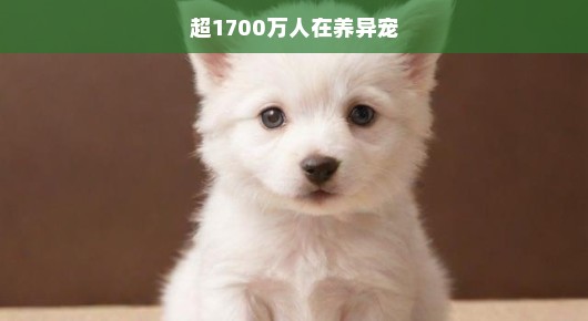 异宠热潮席卷全国，超千万宠主投入养宠新纪元，掀起一股急切的新浪潮！