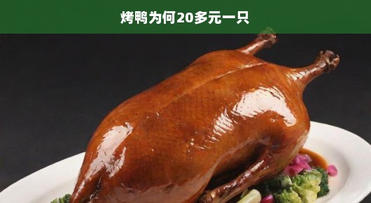 揭秘烤鸭价格背后的真相！为何烤鸭只需几十元？低价背后的秘密大揭秘！