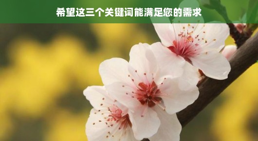 阳春贴吧最新：阳春信息发布，如何免费发布到多个平台并选择最佳平台