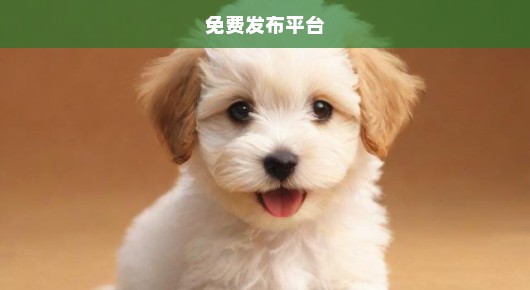 嘉峪关宠物在线：嘉峪关宠物信息免费发布平台大揭秘